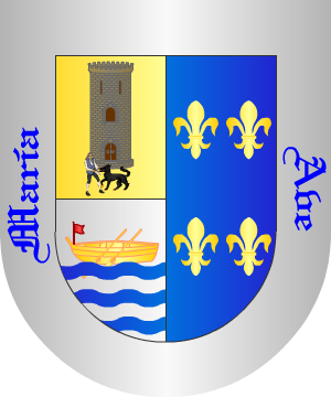 ESCUDO SIGUIENTE